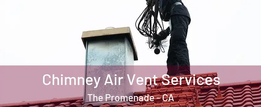 Chimney Air Vent Services The Promenade - CA