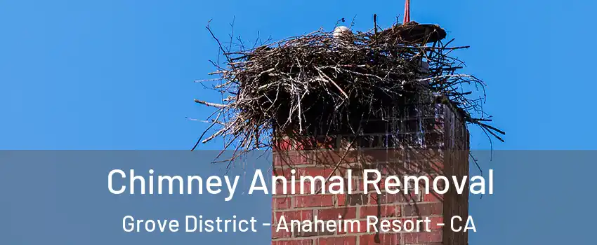 Chimney Animal Removal Grove District - Anaheim Resort - CA
