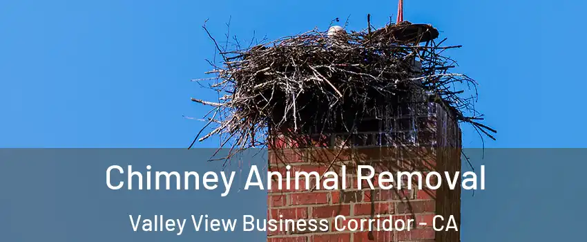 Chimney Animal Removal Valley View Business Corridor - CA