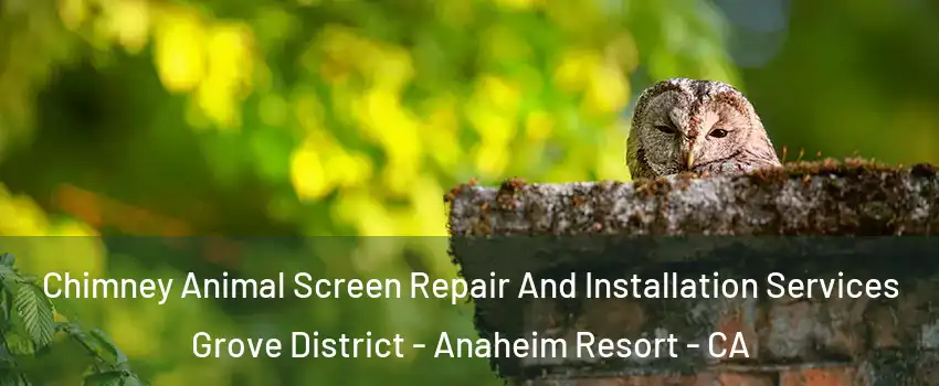 Chimney Animal Screen Repair And Installation Services Grove District - Anaheim Resort - CA