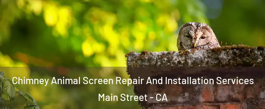 Chimney Animal Screen Repair And Installation Services Main Street - CA