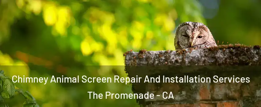Chimney Animal Screen Repair And Installation Services The Promenade - CA
