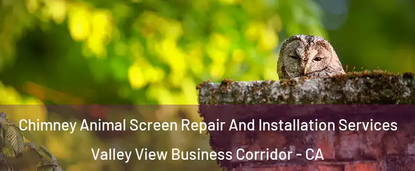 Chimney Animal Screen Repair And Installation Services Valley View Business Corridor - CA