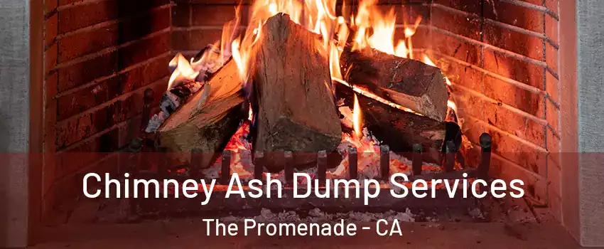 Chimney Ash Dump Services The Promenade - CA