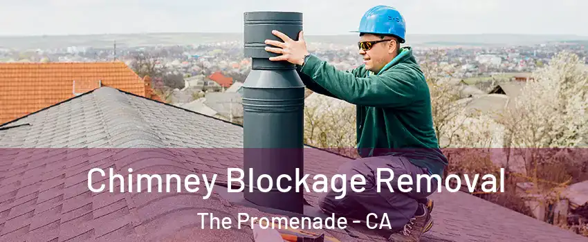 Chimney Blockage Removal The Promenade - CA