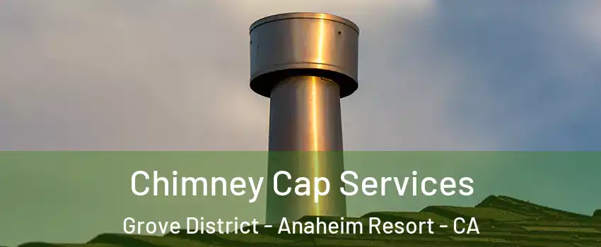 Chimney Cap Services Grove District - Anaheim Resort - CA