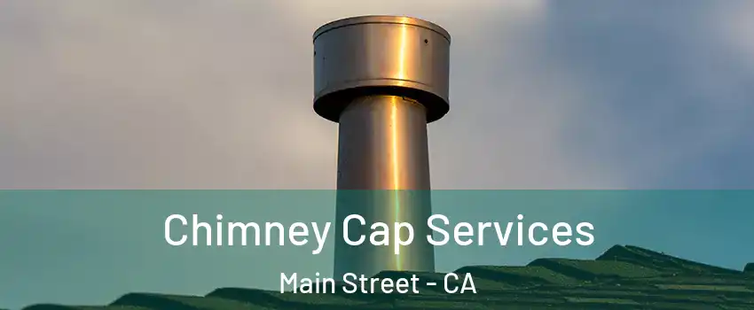 Chimney Cap Services Main Street - CA