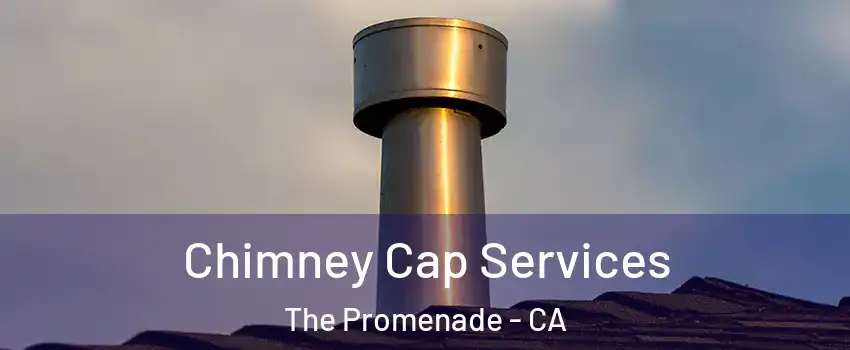 Chimney Cap Services The Promenade - CA