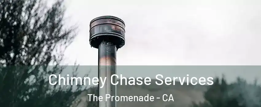 Chimney Chase Services The Promenade - CA