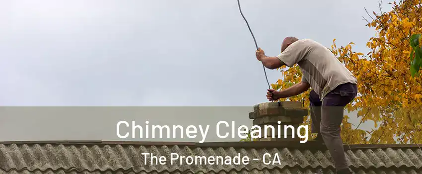 Chimney Cleaning The Promenade - CA