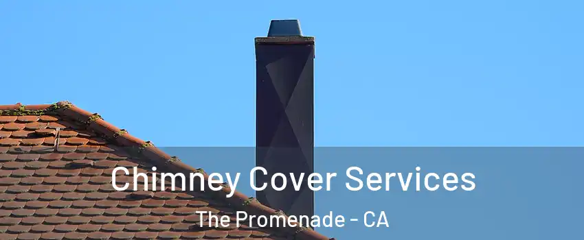 Chimney Cover Services The Promenade - CA