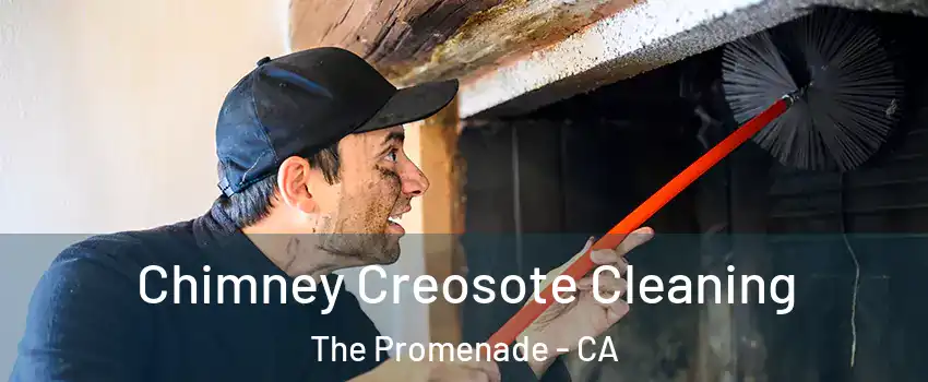 Chimney Creosote Cleaning The Promenade - CA