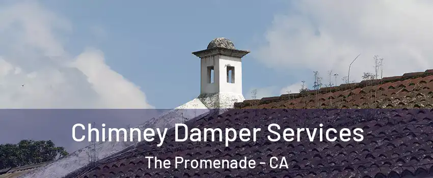 Chimney Damper Services The Promenade - CA