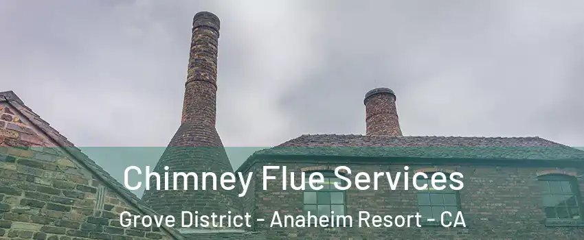 Chimney Flue Services Grove District - Anaheim Resort - CA