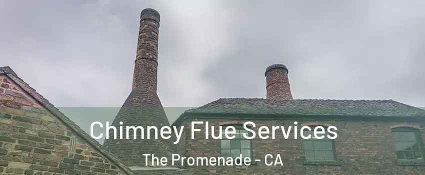Chimney Flue Services The Promenade - CA