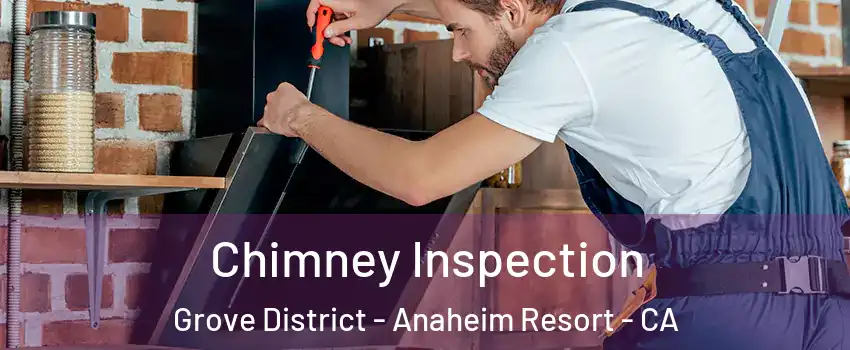 Chimney Inspection Grove District - Anaheim Resort - CA
