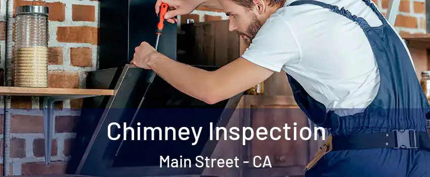 Chimney Inspection Main Street - CA