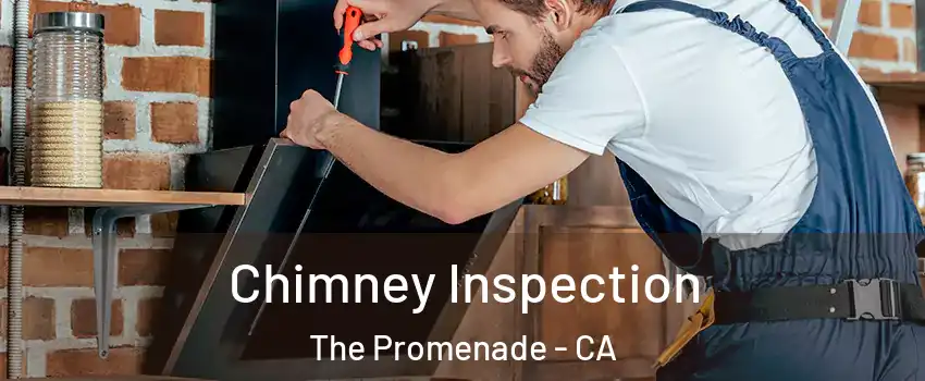 Chimney Inspection The Promenade - CA