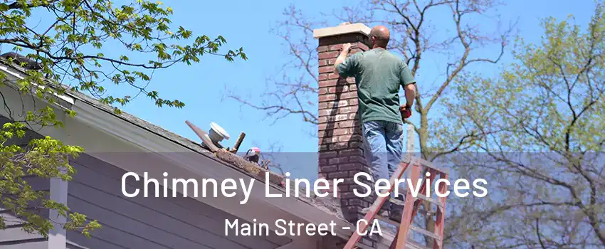 Chimney Liner Services Main Street - CA