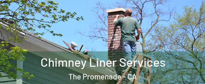 Chimney Liner Services The Promenade - CA