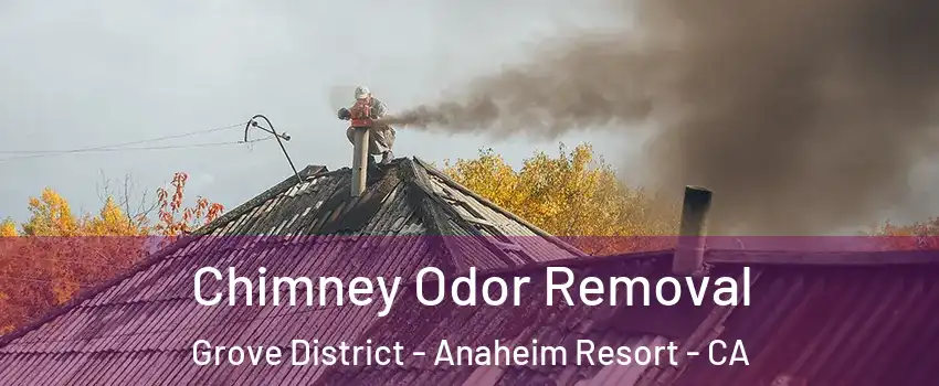 Chimney Odor Removal Grove District - Anaheim Resort - CA