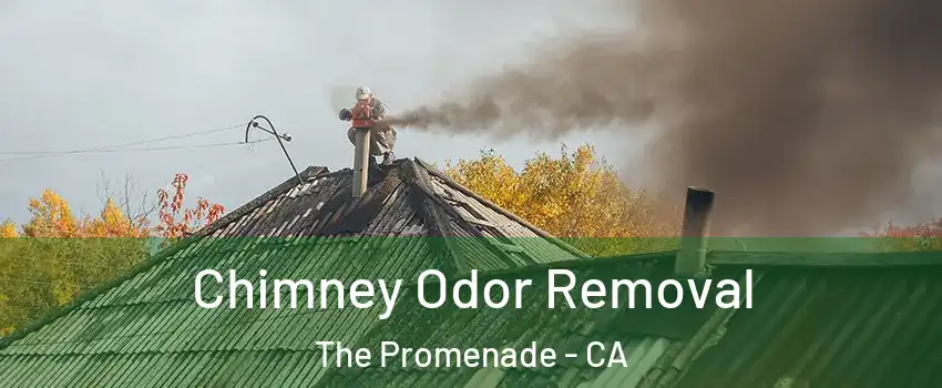 Chimney Odor Removal The Promenade - CA