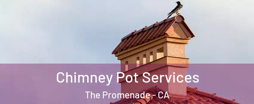 Chimney Pot Services The Promenade - CA