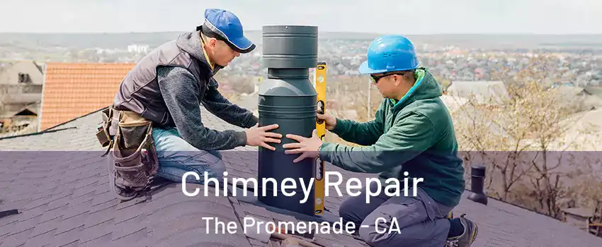Chimney Repair The Promenade - CA