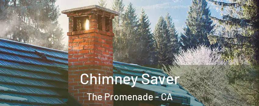 Chimney Saver The Promenade - CA