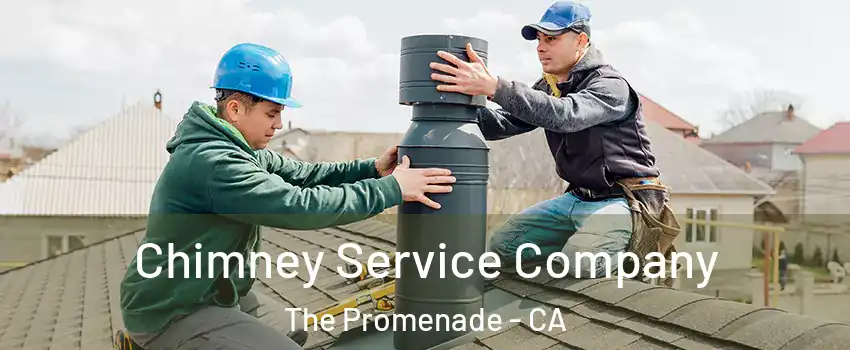 Chimney Service Company The Promenade - CA