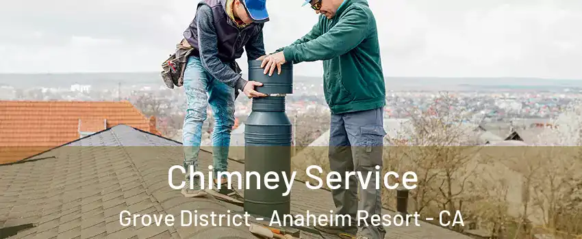 Chimney Service Grove District - Anaheim Resort - CA