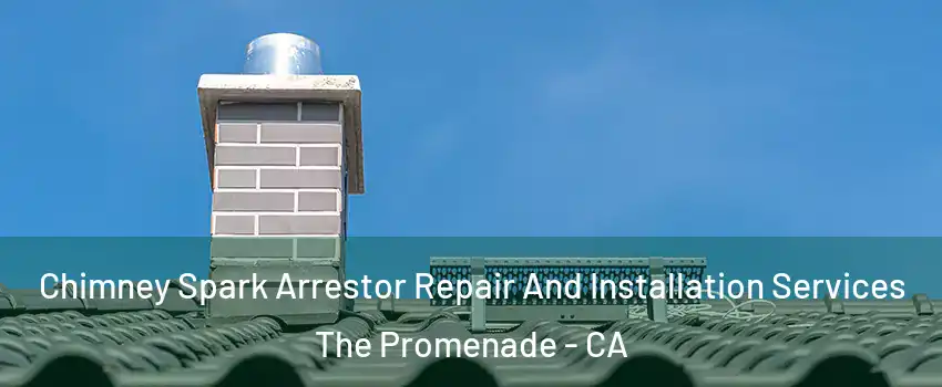 Chimney Spark Arrestor Repair And Installation Services The Promenade - CA