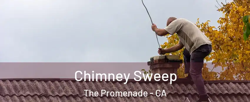 Chimney Sweep The Promenade - CA