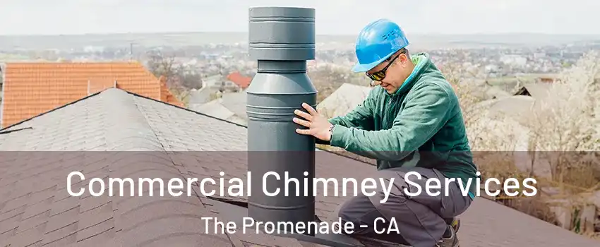 Commercial Chimney Services The Promenade - CA