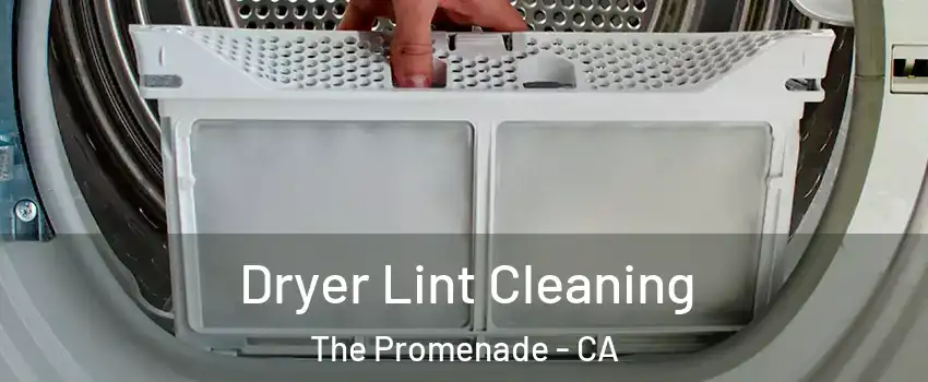 Dryer Lint Cleaning The Promenade - CA