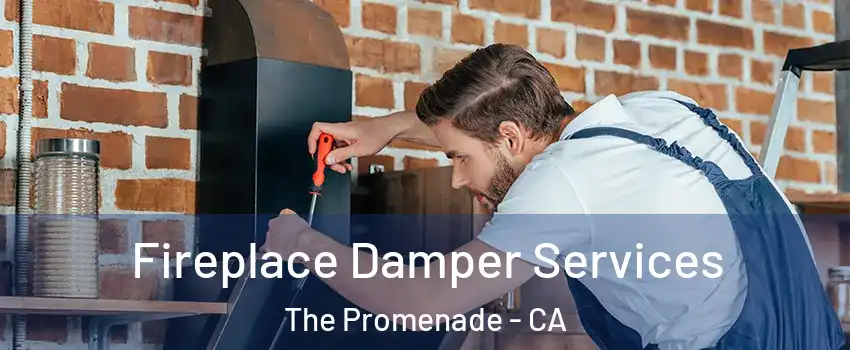 Fireplace Damper Services The Promenade - CA