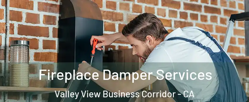 Fireplace Damper Services Valley View Business Corridor - CA