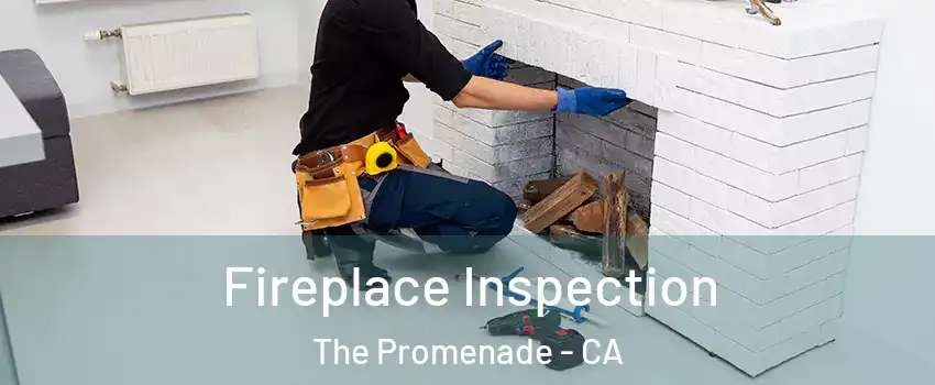Fireplace Inspection The Promenade - CA
