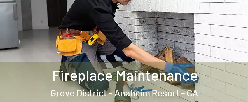 Fireplace Maintenance Grove District - Anaheim Resort - CA