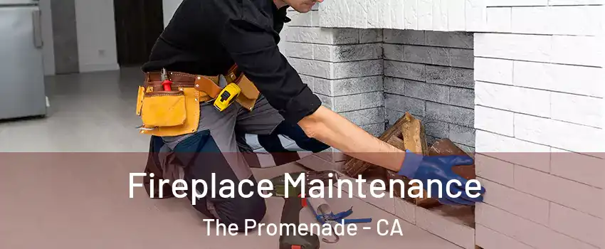 Fireplace Maintenance The Promenade - CA