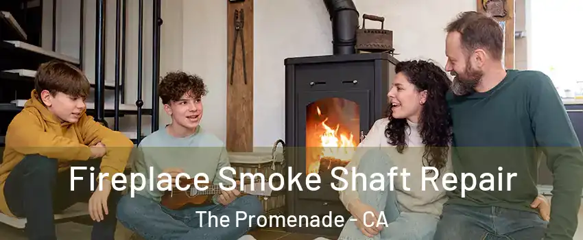 Fireplace Smoke Shaft Repair The Promenade - CA