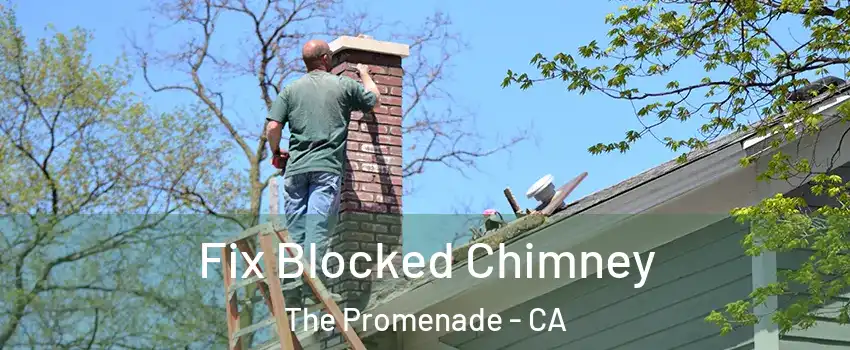 Fix Blocked Chimney The Promenade - CA
