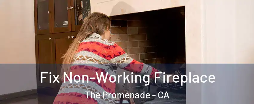 Fix Non-Working Fireplace The Promenade - CA