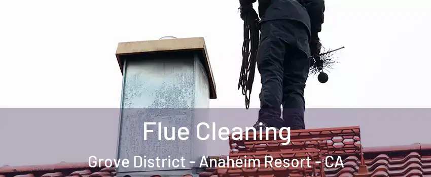 Flue Cleaning Grove District - Anaheim Resort - CA