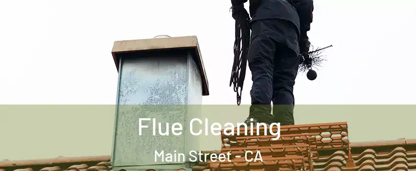 Flue Cleaning Main Street - CA