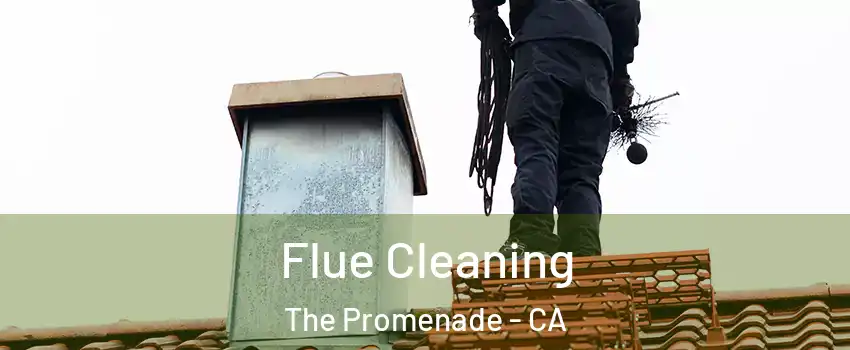 Flue Cleaning The Promenade - CA