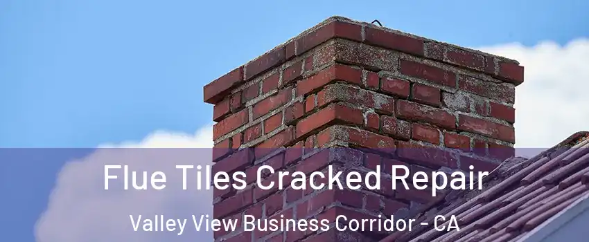 Flue Tiles Cracked Repair Valley View Business Corridor - CA