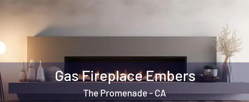 Gas Fireplace Embers The Promenade - CA