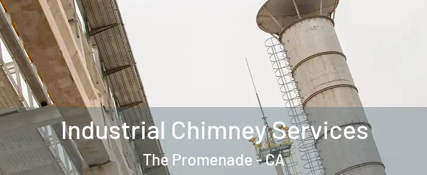 Industrial Chimney Services The Promenade - CA