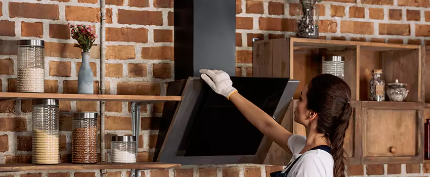 Chimney Installation in Grove District - Anaheim Resort, CA